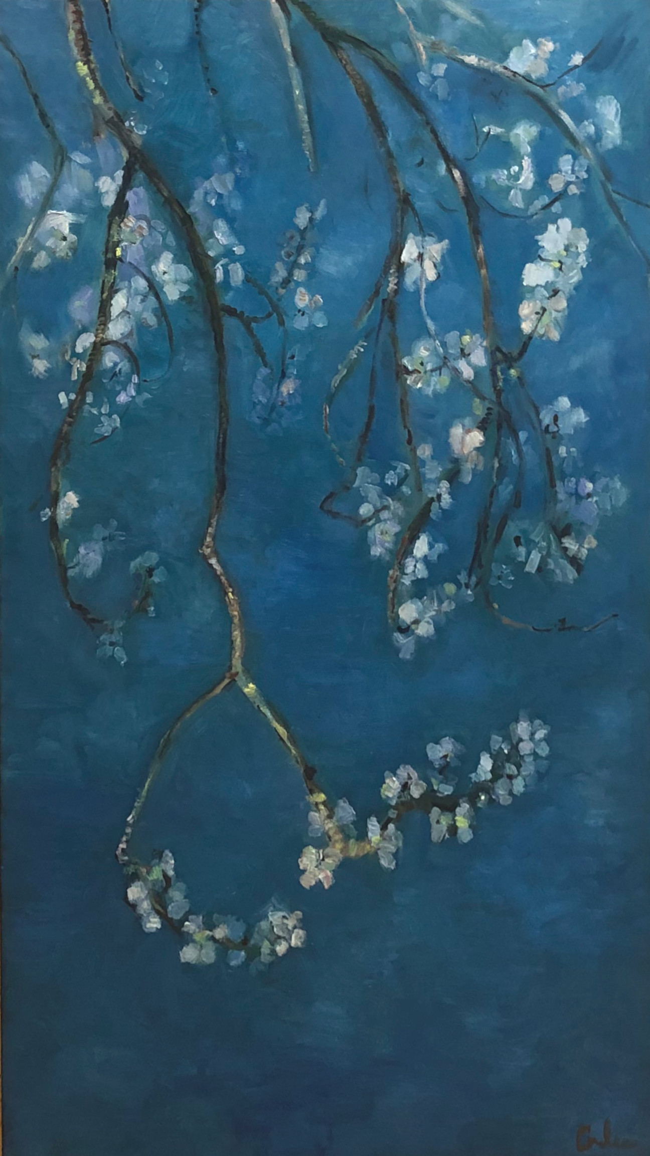 almond blossoms
