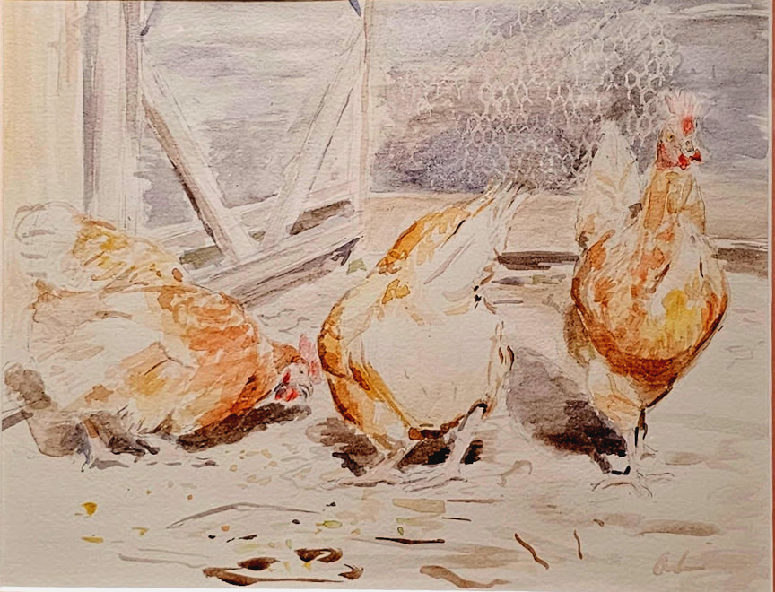 three hens